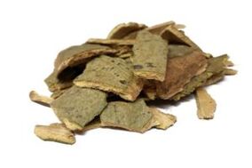 Aspen azala prostatitisarentzat